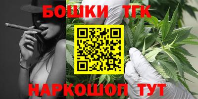 шишки Кимры
