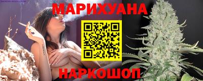 шишки Кимры