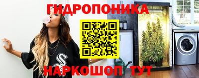 шишки Кимры