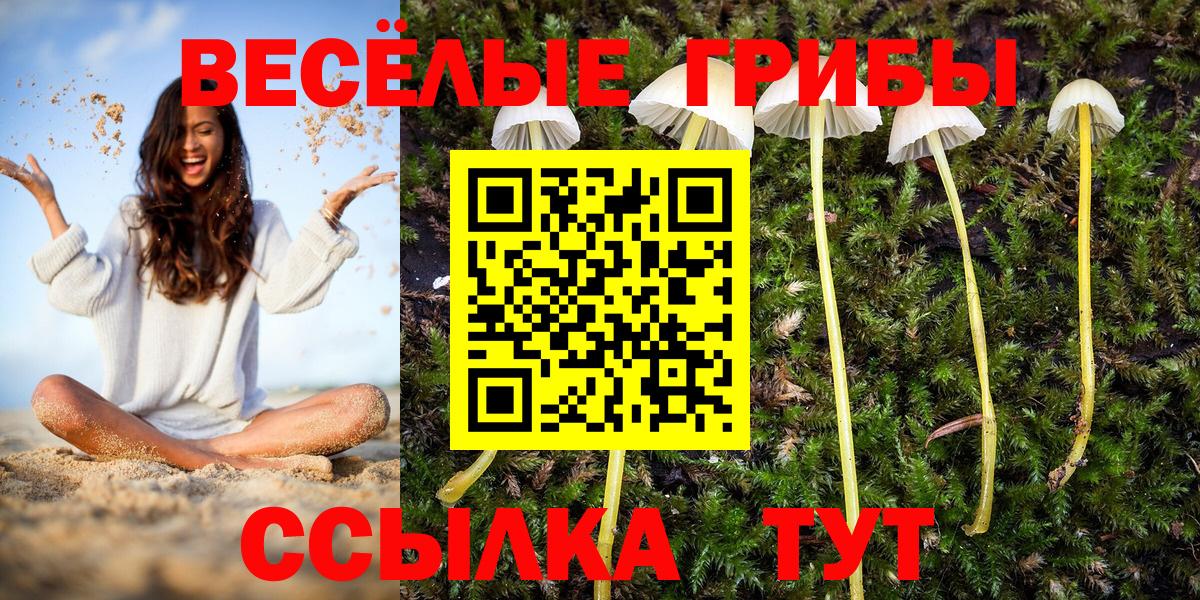 Галлюциногенные грибы мицелий  Вход с VPN  Псилоцибиновые грибы ЛСД  Ефремов 